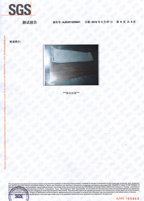 格林雅檢查報告SGS(中) 格林雅檢查報告SGS(中)