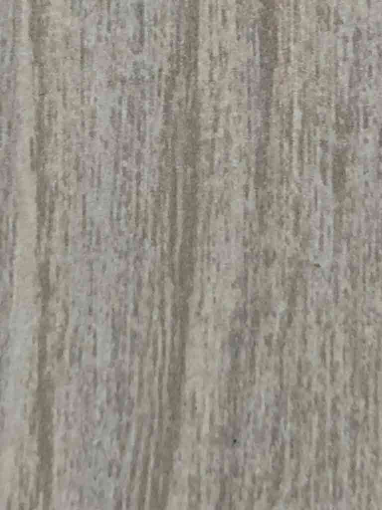 王冠蠟木 G713-MF 王冠蠟木 G713-MF