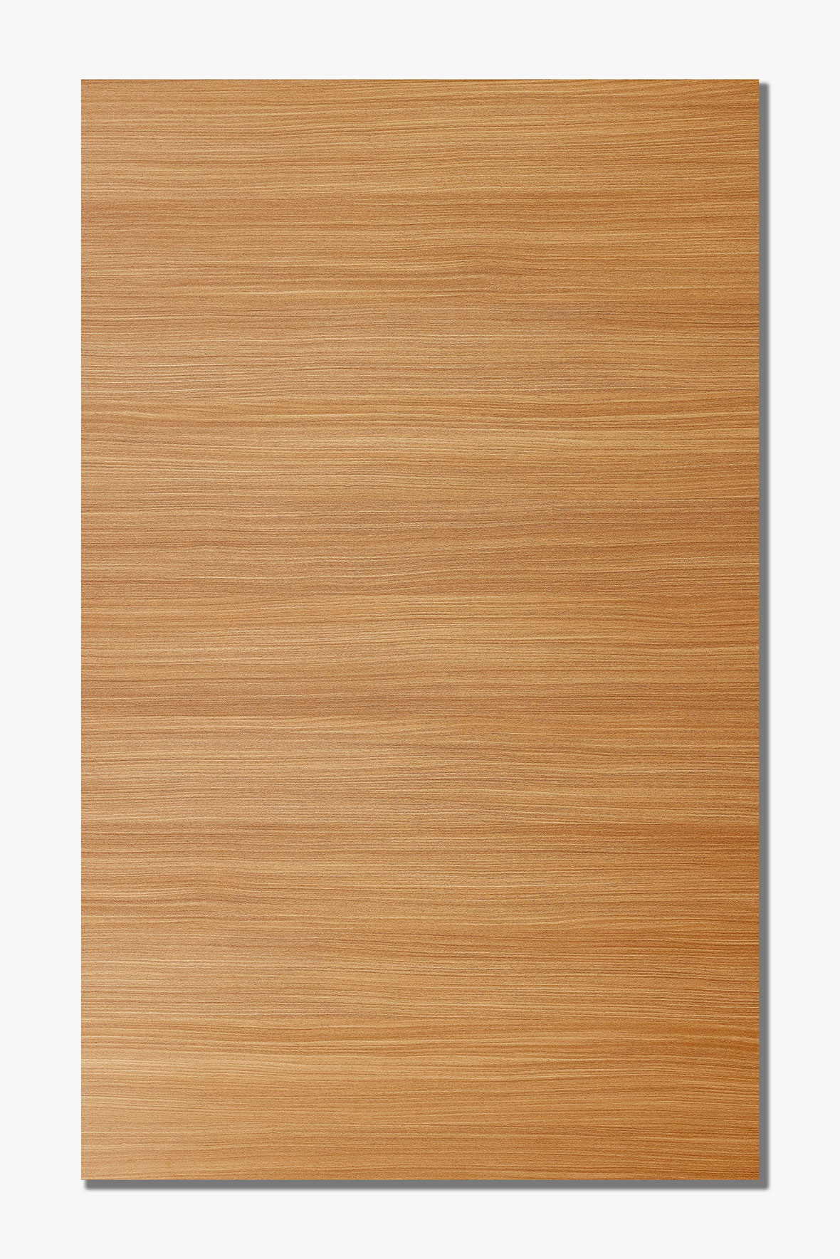 大地紅豆杉 G4862-NT 大地紅豆杉 G4862-NT