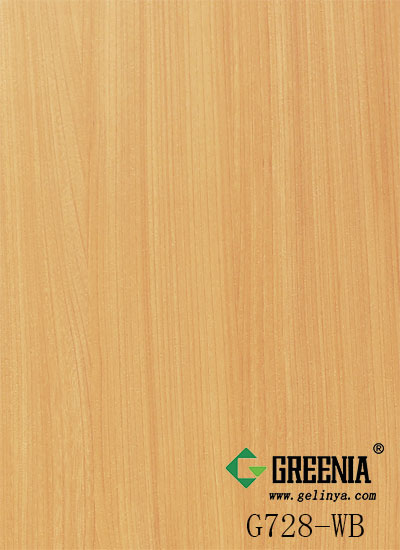 經典榆木防火板 G728-WB 經典榆木防火板 G728-WB